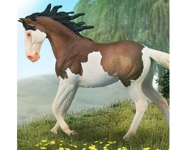 Mustang Mare - Bay Splash Overo